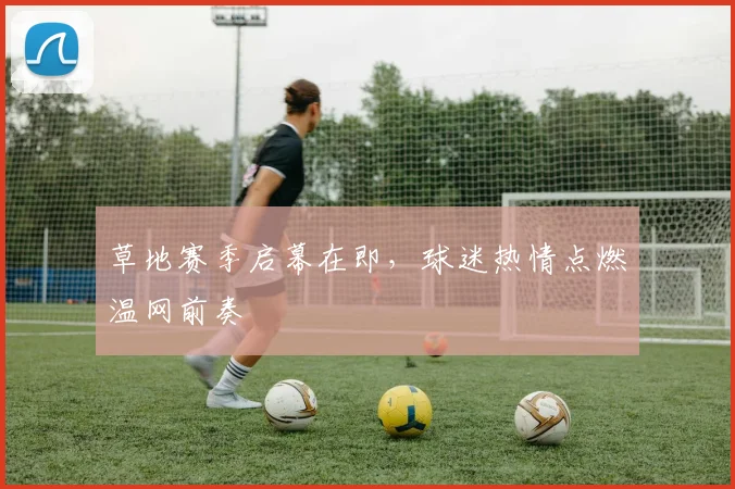草地赛季启幕在即，球迷热情点燃温网前奏