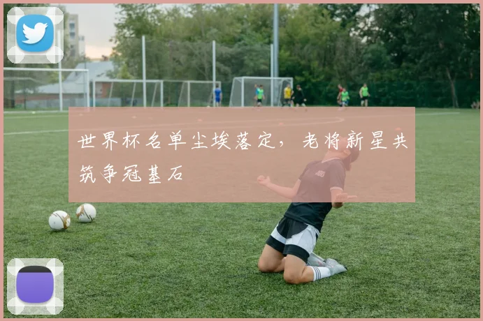世界杯名单尘埃落定,老将新星共筑争冠基石