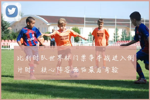 比利时队世界杯门票争夺战进入倒计时，核心阵容面临最后考验