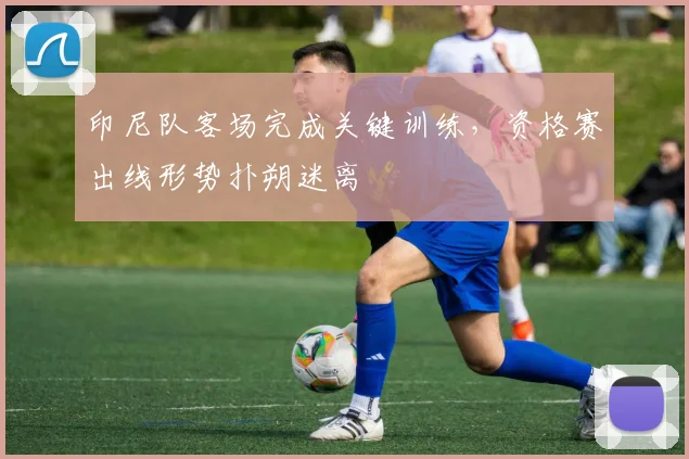 印尼队客场完成关键训练，资格赛出线形势扑朔迷离 - 2026世界杯