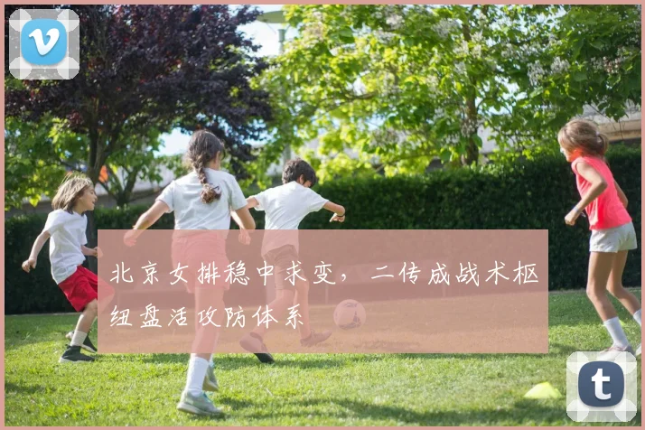 北京女排稳中求变，二传成战术枢纽盘活攻防体系 - 2026世界杯