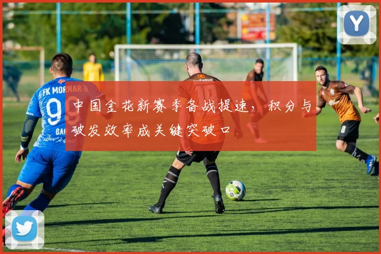 中国金花新赛季备战提速,积分与破发效率成关键突破口